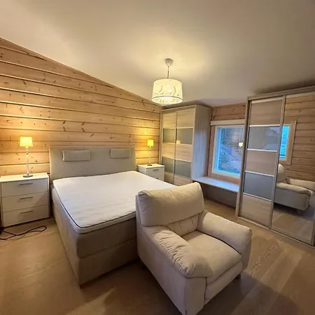 Βίλα Leo Ruokolahti