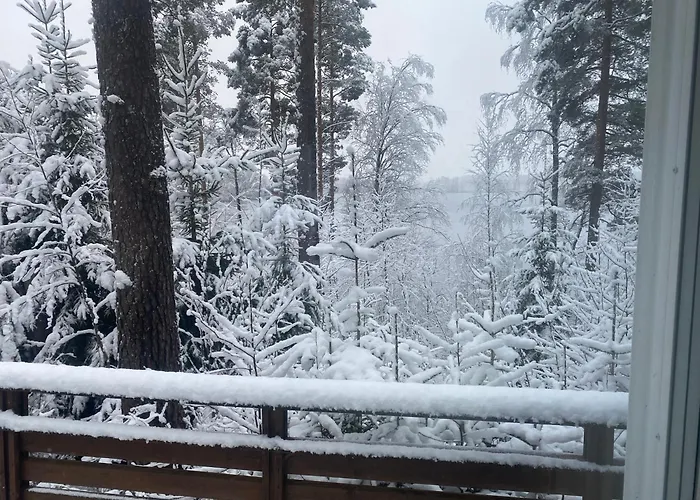 Leo 鲁奥科拉赫蒂