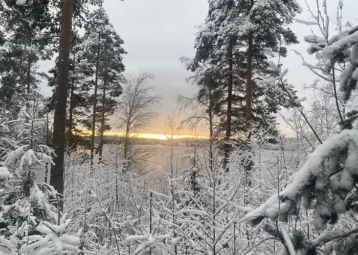 Leo Βίλα Ruokolahti