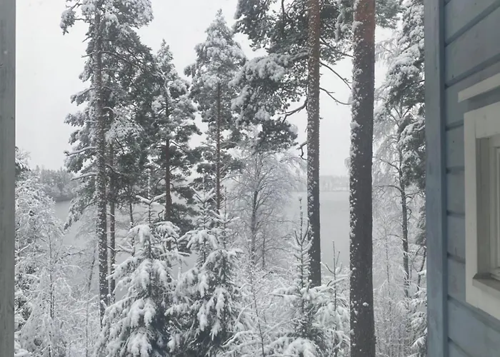 Βίλα Leo Ruokolahti